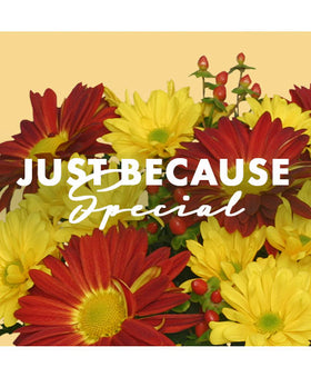 JUST BECAUSE SPECIAL DESIGNER'S CHOICE